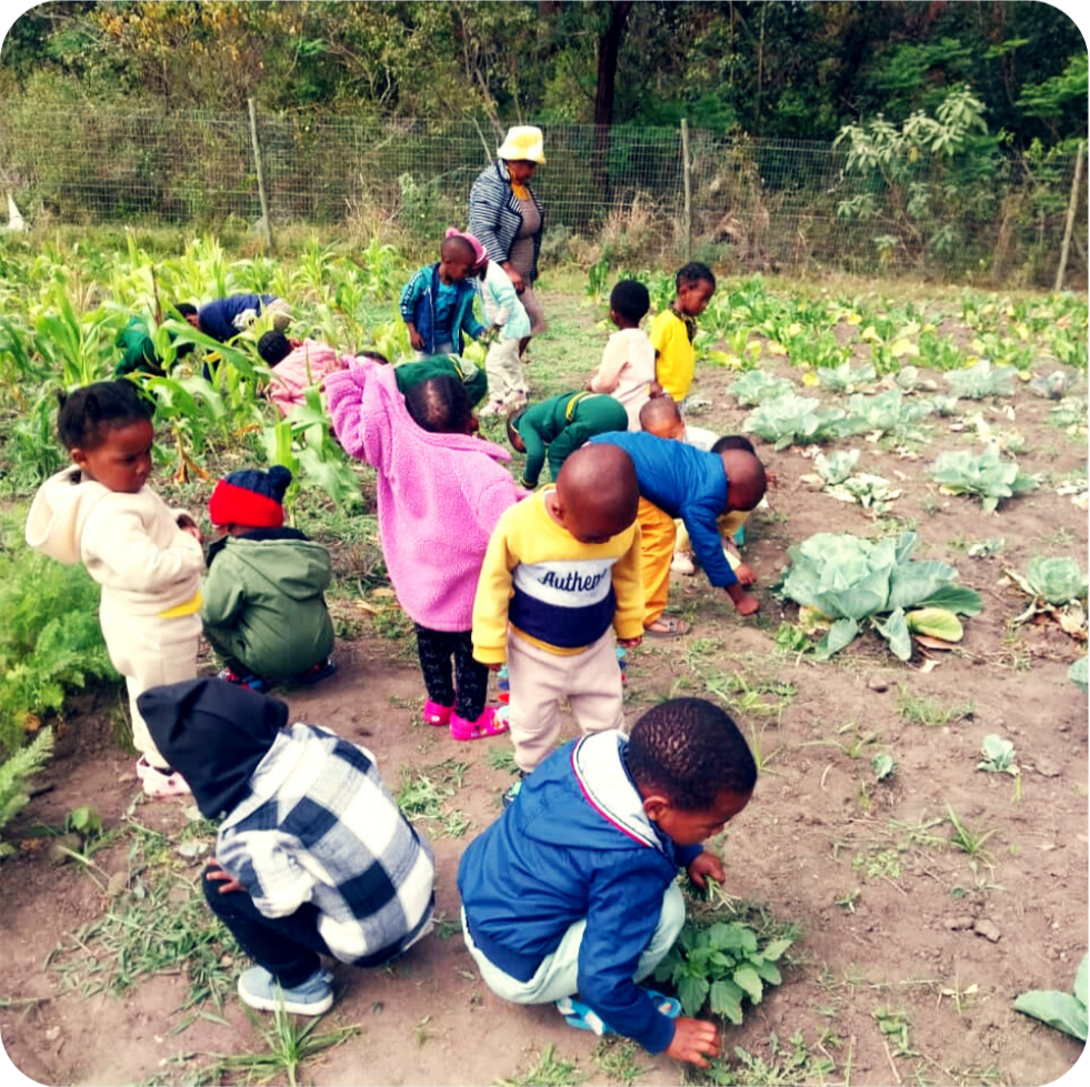 Community Food Garden
